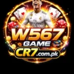 W567 Game